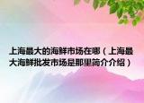 上海最大的海鲜市场在哪（上海最大海鲜批发市场是那里简介介绍）