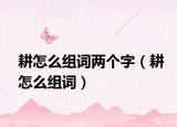 耕怎么组词两个字（耕怎么组词）