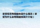 家里经常有隐翅虫是什么情况（家里为什么会有隐翅虫简介介绍）
