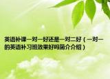 英语补课一对一好还是一对二好（一对一的英语补习班效果好吗简介介绍）