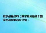 戴尔是品牌吗（戴尔到底是哪个国家的品牌啊简介介绍）