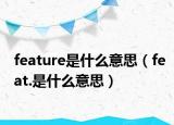feature是什么意思（feat.是什么意思）