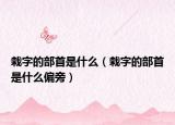 栽字的部首是什么（栽字的部首是什么偏旁）