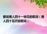 都说男人四十一枝花的歌词（男人四十花开放歌词）