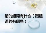 踏的组词有什么（踏组词的有哪些）