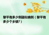 黎平有多少例疑似病例（黎平有多少个乡镇?）