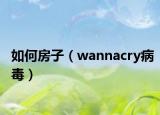 如何房子（wannacry病毒）