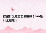 操是什么意思怎么解释（cao是什么意思）