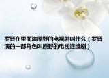 罗晋在里面演原野的电视剧叫什么（罗晋演的一部角色叫原野的电视连续剧）