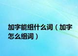 加字能组什么词（加字怎么组词）