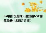 nsf由什么构成（谁知道NSF的意思是什么简介介绍）