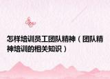 怎样培训员工团队精神（团队精神培训的相关知识）
