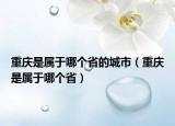 重庆是属于哪个省的城市（重庆是属于哪个省）