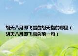 胡天八月即飞雪的胡天指的哪里（胡天八月即飞雪的前一句）