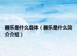 器乐是什么载体（器乐是什么简介介绍）