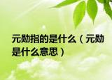 元勋指的是什么（元勋是什么意思）