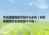 东张西望观四方指什么生肖（东张西望指什么生肖简介介绍）