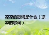 凉凉的歌词是什么（凉凉的歌词）
