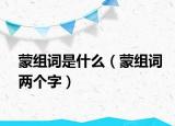 蒙组词是什么（蒙组词两个字）