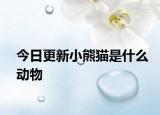 今日更新小熊猫是什么动物