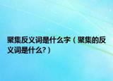 聚集反义词是什么字（聚集的反义词是什么?）