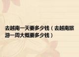 去越南一天要多少钱（去越南旅游一周大概要多少钱）