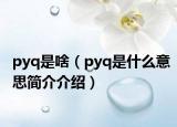 pyq是啥（pyq是什么意思简介介绍）