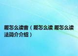 履怎么读音（履怎么读 履怎么读法简介介绍）