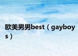 欧美男男best（gayboys）