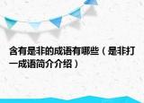 含有是非的成语有哪些（是非打一成语简介介绍）