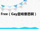 Free（Gay是啥意思啊）