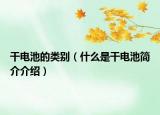 干电池的类别（什么是干电池简介介绍）