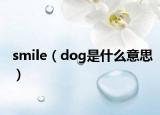 smile（dog是什么意思）