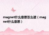 magnet什么意思怎么读（magnet什么意思）