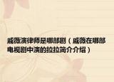 戚薇演律师是哪部剧（戚薇在哪部电视剧中演的拉拉简介介绍）