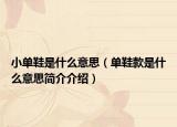 小单鞋是什么意思（单鞋款是什么意思简介介绍）