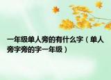 一年级单人旁的有什么字（单人旁字旁的字一年级）