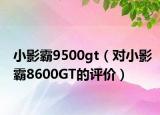 小影霸9500gt（对小影霸8600GT的评价）