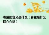 春兰的含义是什么（春兰是什么简介介绍）