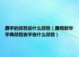 麝字的部首是什么部首（麝用新华字典部首查字查什么部首）