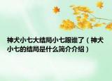 神犬小七大结局小七跟谁了（神犬小七的结局是什么简介介绍）