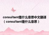 consultant是什么意思中文翻译（consultant是什么意思）