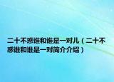 二十不惑谁和谁是一对儿（二十不惑谁和谁是一对简介介绍）