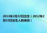 2013年2月22日出生（2012年2月22日出生人的命运）