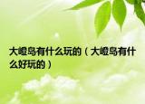 大嶝岛有什么玩的（大嶝岛有什么好玩的）
