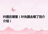 叶国在哪里（叶先国去哪了简介介绍）