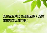 支付宝花呗怎么延期还款（支付宝花呗怎么使用啊）