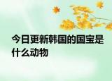 今日更新韩国的国宝是什么动物