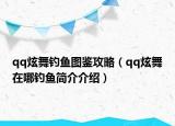 qq炫舞钓鱼图鉴攻略（qq炫舞在哪钓鱼简介介绍）