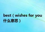 best（wishes for you 什么意思）